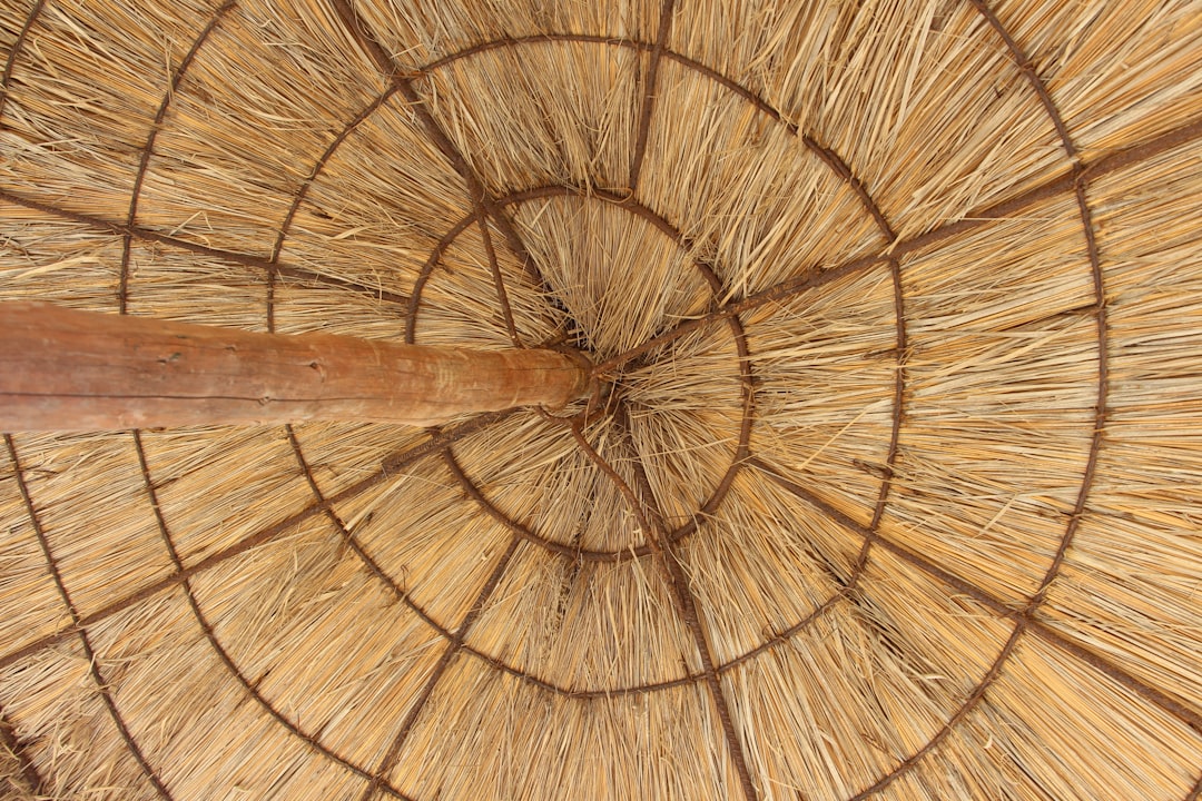 Duurzaam tuinieren met een permacultuur moestuin