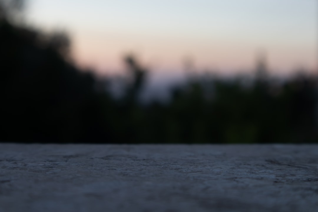 Groenten kweken het hele jaar door met een moestuin kas