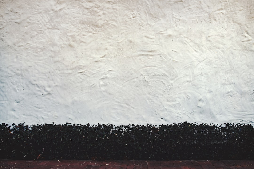 Gezonde moestuin begint met de juiste potgrond