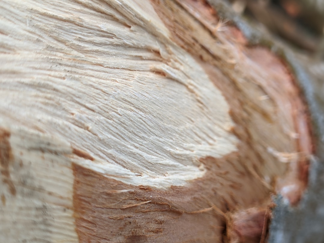 Gezonde en makkelijke moestuin met houtsnippers