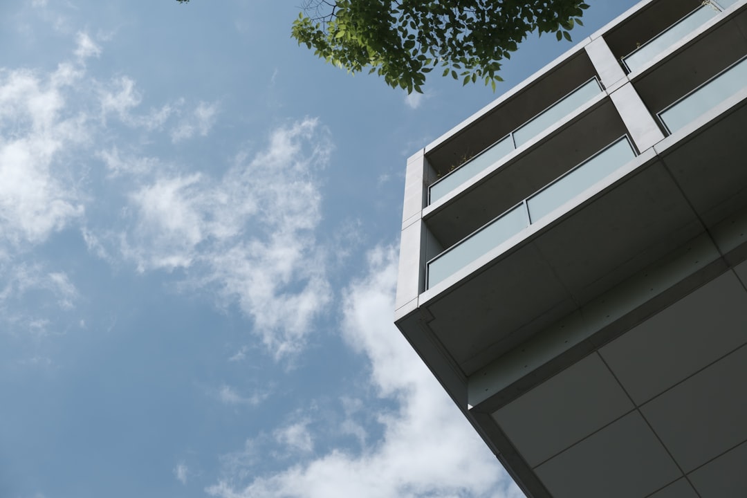 Verrassend veel oogst uit een verticale moestuin