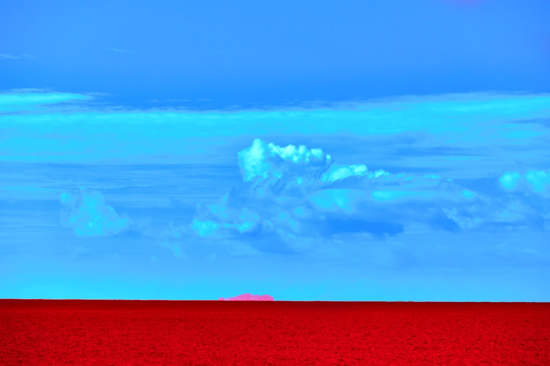 Portulaca overwinteren: kleurrijke zomerbloemen veilig de winter door