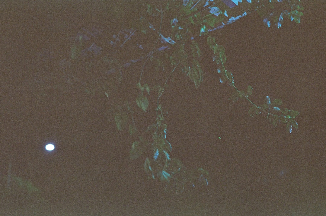 Een jaar rond genieten met de zaaikalender voor de moestuin