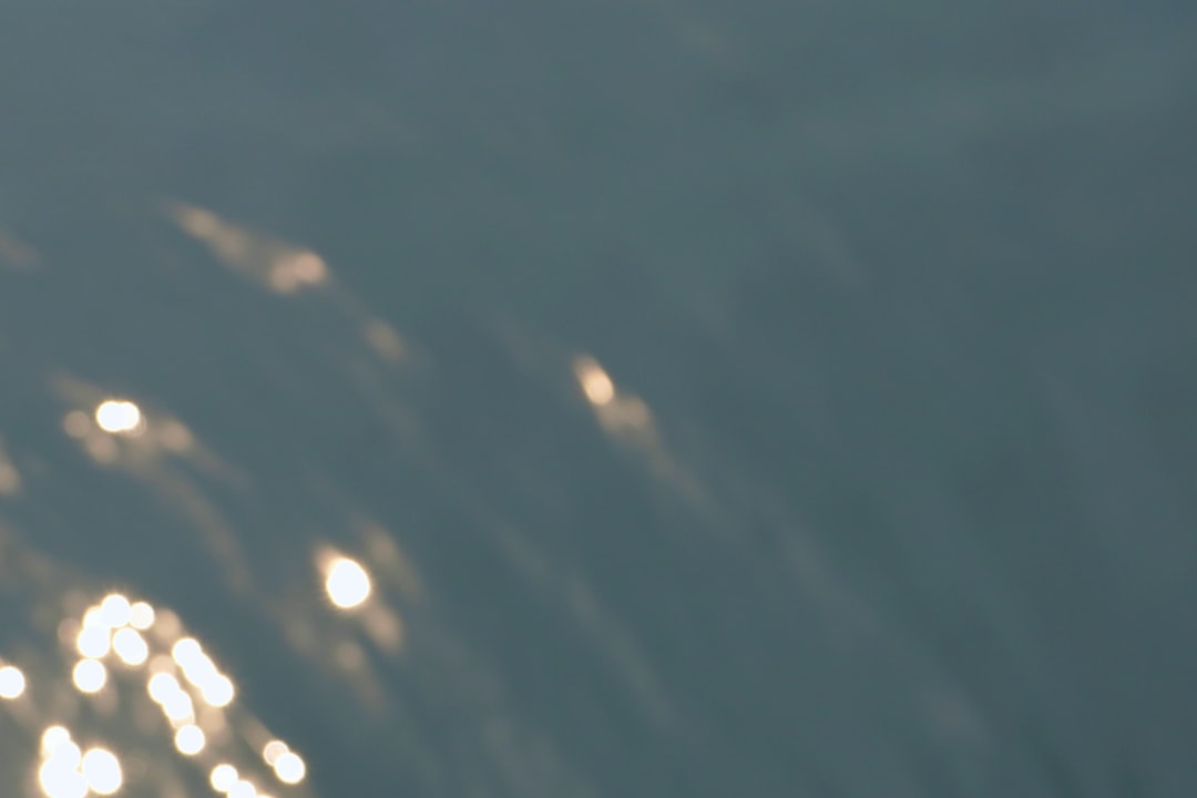 Scaevola overwinteren: zo help je waaierbloem veilig de winter door