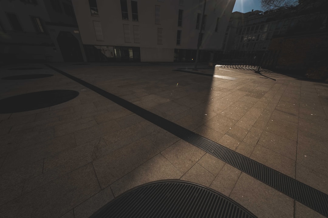 Hebe helemaal terugsnoeien: wat je moet weten voor een gezonde struik