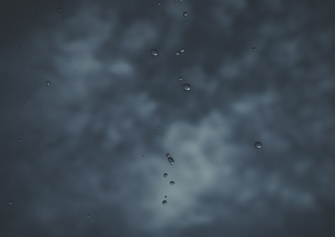 Met een verwaarloosde klimop weer licht en lucht in de tuin brengen