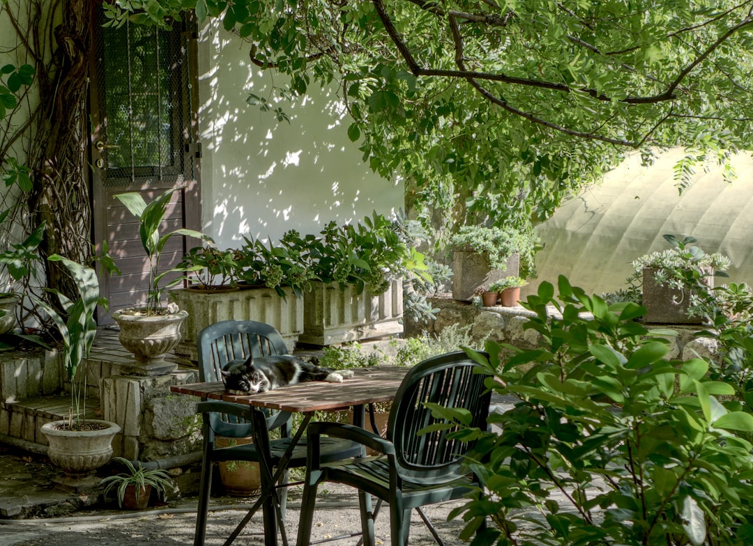 Een tuinhuisje in je tuin: wat je moet weten voor je begint