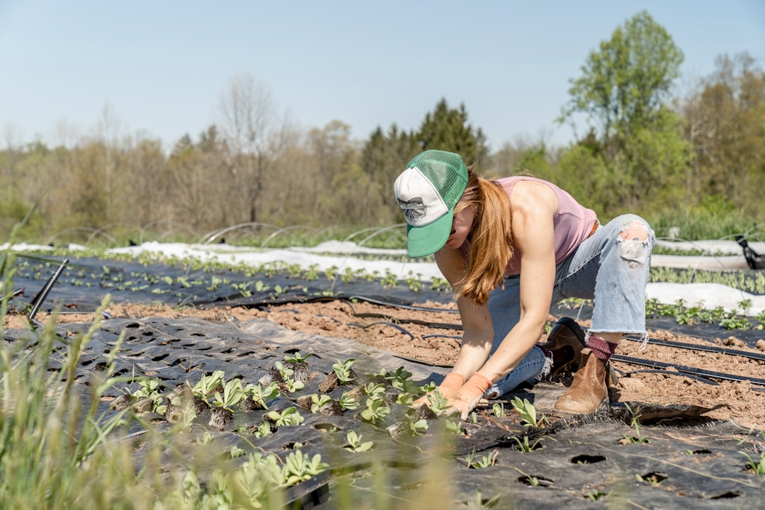 Tuinieren in de zomer: praktische tips voor een bloeiende tuin