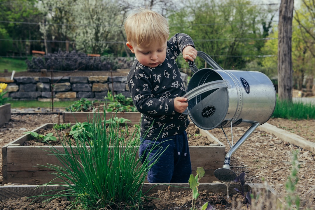 Tuinieren in de herfst: de beste tips voor een gezonde tuin