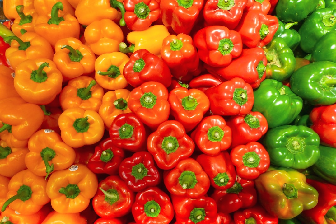 Moestuin maken: zo begin je stap voor stap